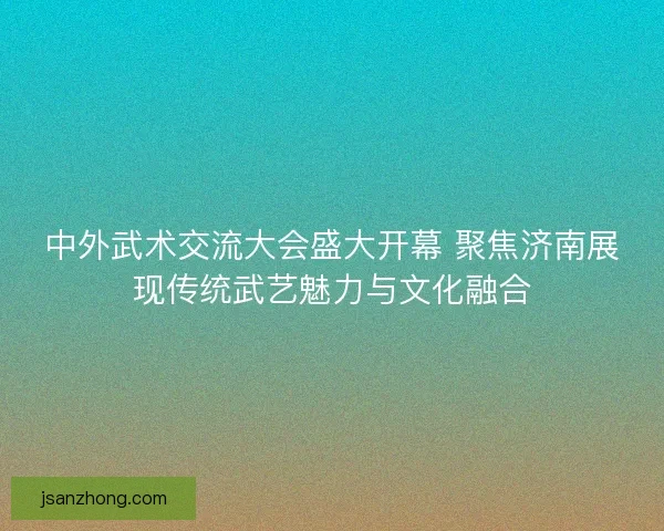 中外武术交流大会盛大开幕 聚焦济南展现传统武艺魅力与文化融合